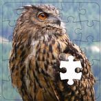 Rompecabezas de Buhos