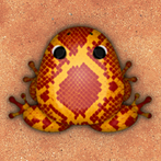 Pocket Frogs: Tiny Pond Keeper