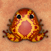 Pocket Frogs: Tiny Pond Keeper