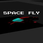 Space Fly