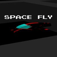 Space Fly