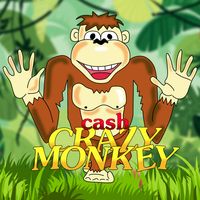 Cash Crazy Monkey