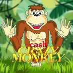 Cash Crazy Monkey