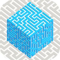 3D Block Maze