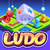 Ludo Game