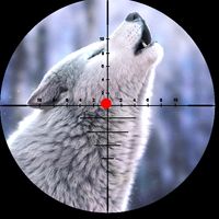 Wild Wolf Hunting Game Offline
