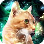 Orange Cat:Color Master by Num