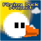 Flying Duck Project
