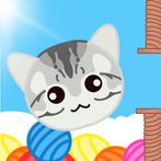 Jumpy Cat