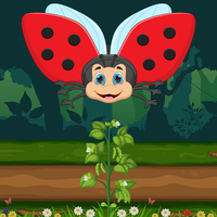 Natures Battle - Bugs Vs Plant