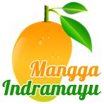 Panen Mangga Indramayu