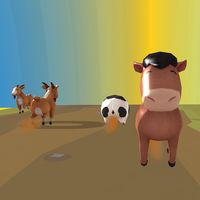 Careful With Animals