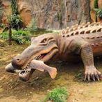 crocodile catch hungry