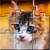 Puzzle apps