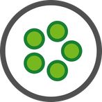 Aualé — Oware, Awari, Mancala