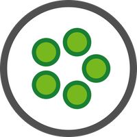 Aualé — Oware, Awari, Mancala