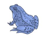 Frog Jump