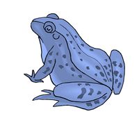 Frog Jump