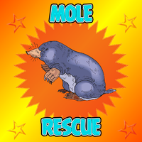 Mole Rescue From House