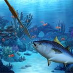 Spear Fishing
