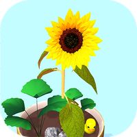 Flowerpot 3D