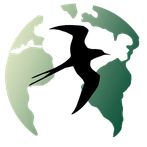 BirdFlight