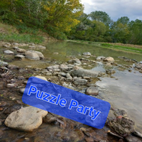Puzzle Party