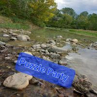 Puzzle Party