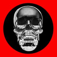 Crystal Skull