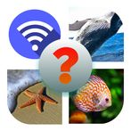 4 Picture Quiz: 4 Pics 1 Word