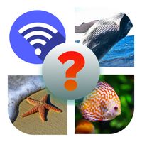 4 Picture Quiz: 4 Pics 1 Word