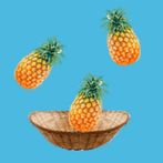 Tropic Panic