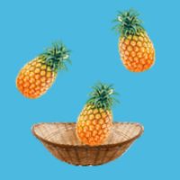 Tropic Panic