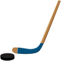 Ultimate Hockey  [ by Raunak ]