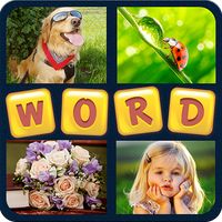 Guess the word: 4 pics 1 word
