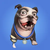 Pet Prosthetic