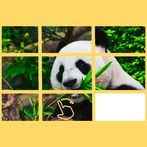 Slide-Sürgülü Puzzle