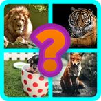 Learn The Animals