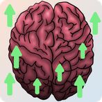 Brain Loading