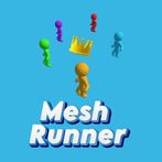 Mesh Runner