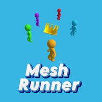 Mesh Runner