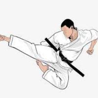 Техника каратэ