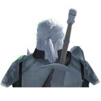 The Witchar 3d