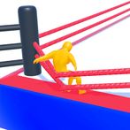 Wrestle Smash Out