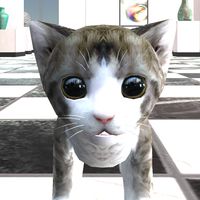 Cat Simulator Museum