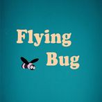 Flying bug
