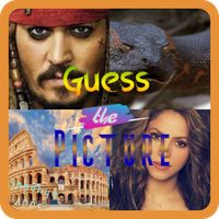 Guess the Picture