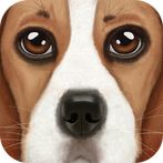Ultimate Dog Simulator