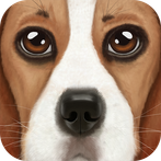 Ultimate Dog Simulator