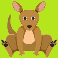 JumpingKangaroo